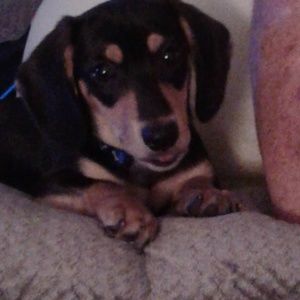 Meet your Posher, Joella